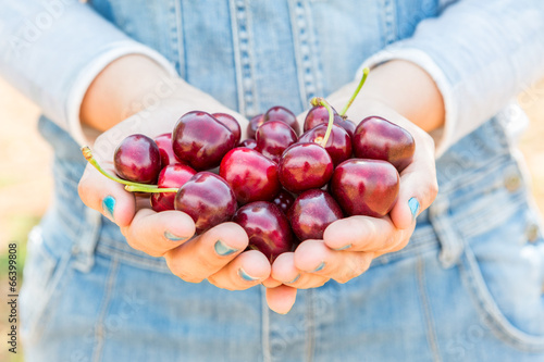 fresh cherries