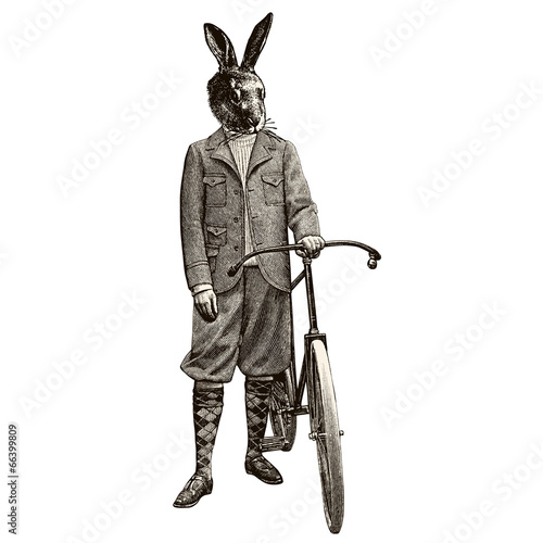 Lapin à vélo