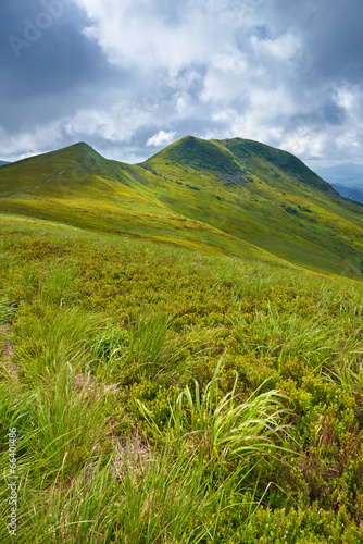 Fototapeta Naklejka Na Ścianę i Meble -  Bieszczady National Park. Carpathian Mountains grass landscape