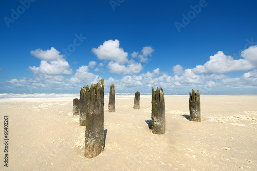 Old wooden poles at the beach