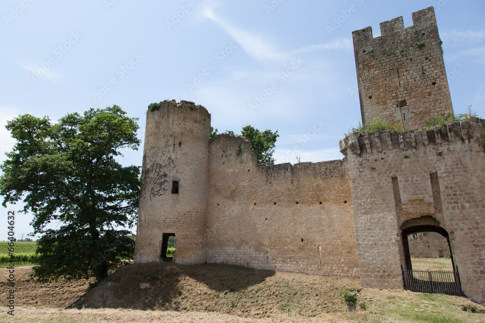 chateau fort chateau fort