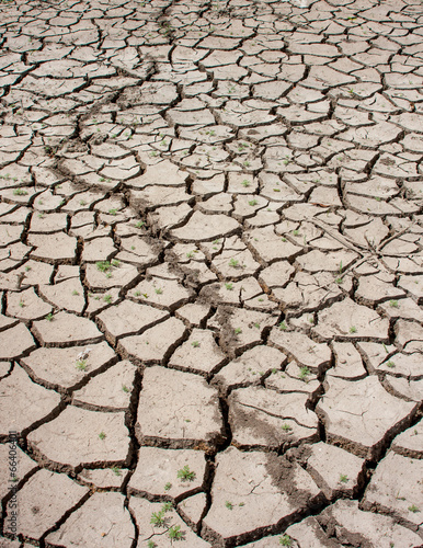 Drought Cracked Land
