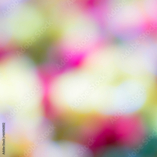 Multi colored Festive blur background. Abstract twinkled bright
