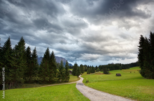 path to alpine meadows