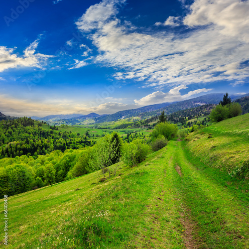 path on hillside meadow in mountain