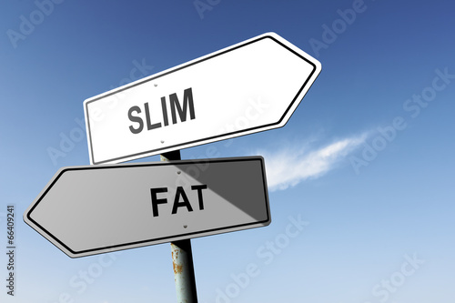 Slim and Fat directions.  Opposite traffic sign. © Zerophoto