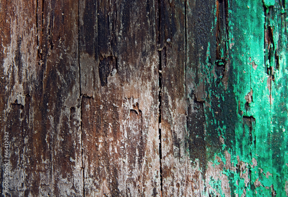 Old wooden plank texture Old wooden plank texture