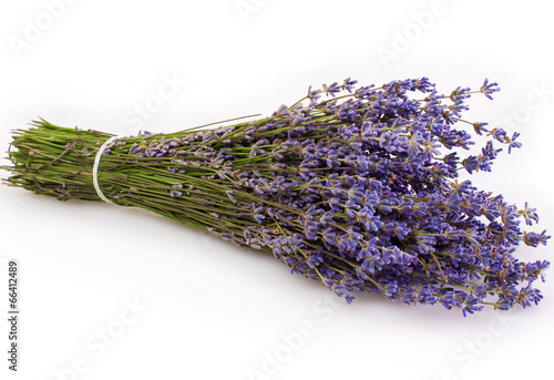 Fototapeta Naklejka Na Ścianę i Meble -  Lavender