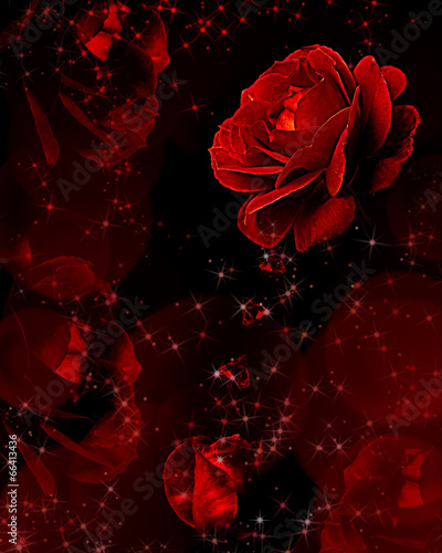 Red roses dripping crystals