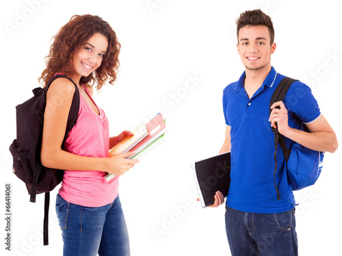 Obraz na plátně Students