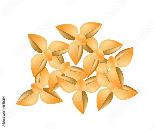 Delicious Homemade Shortbread Cookies on White Background