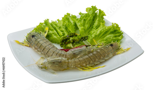Photography Raw Spiny lobster