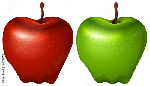 A green and a red apple