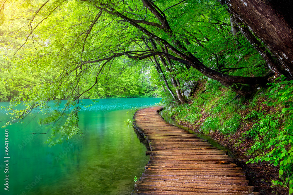 Fototapeta premium Crystal clear water and wooden path . Plitvice lakes, Croatia