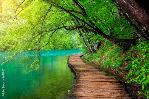 Fototapeta Crystal clear water and wooden path . Plitvice lakes, Croatia