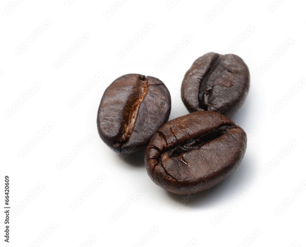 Obraz premium Coffee bean isolated on white background