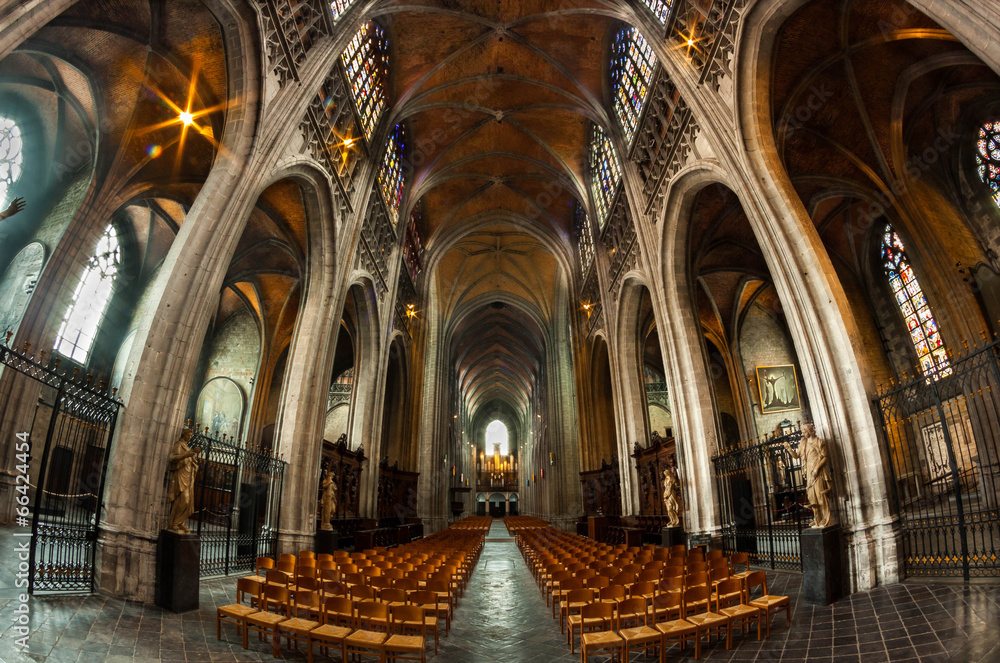 Sainte Waudru - Mons Sainte Waudru - Mons