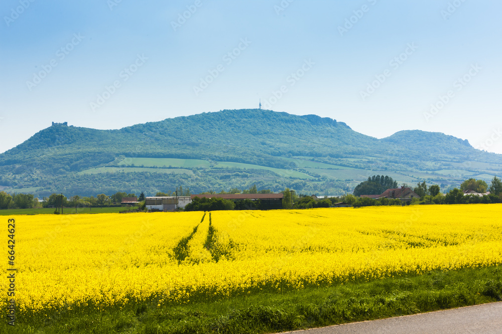 Palava with rape field, Czech Republic Palava with rape field, Czech Republic