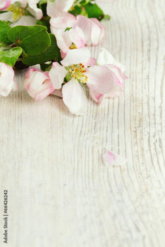 apple blossoms on white wooden surface