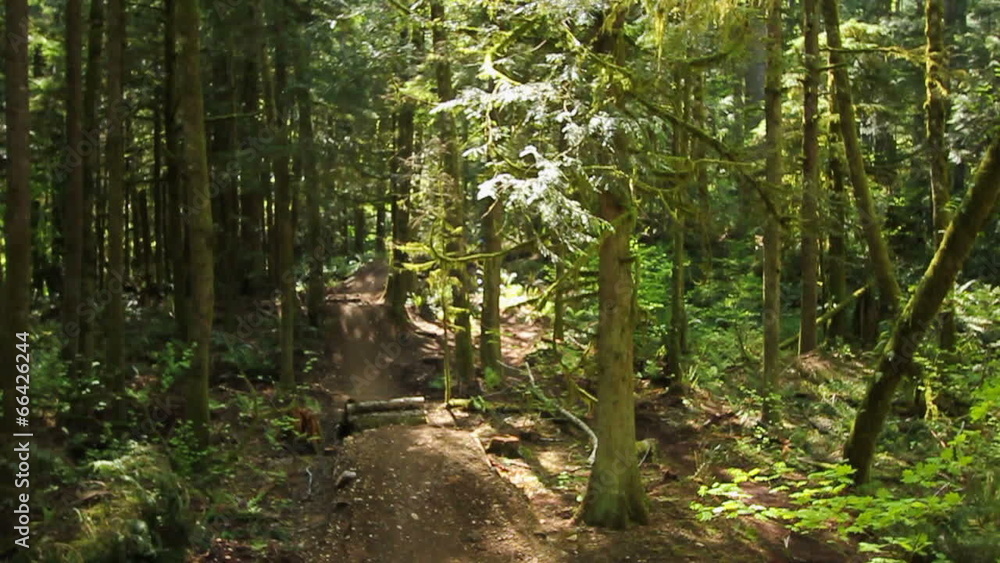Mountain Biking Jumps Mountain Biking Jumps