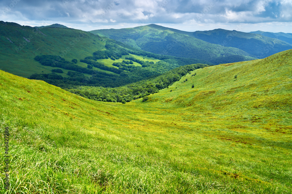 Mountains meadow landscape. Carpathians, Poland.