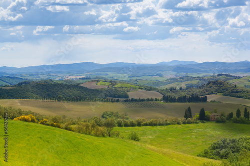 Beautiful summer rural landscape  Tuscany  Italy