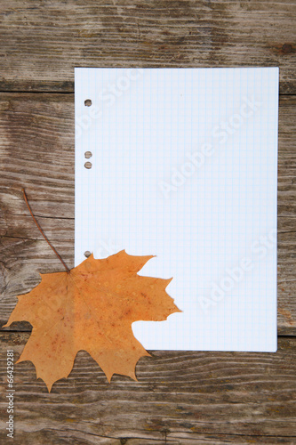 Maple leaf on a sheet of school notebook