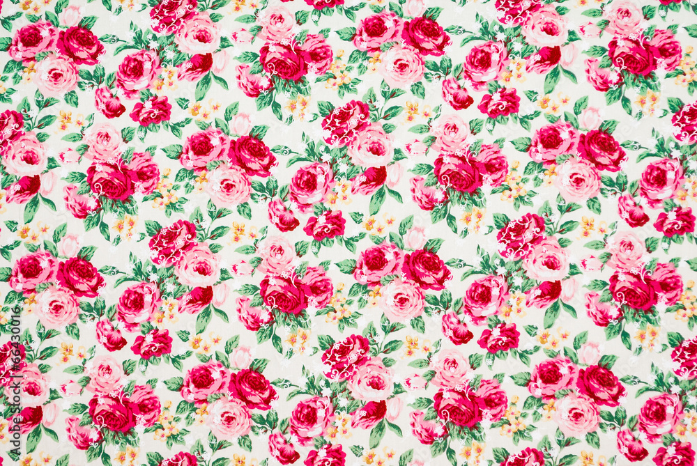 Red and Pink Roses Background/ Texture Red and Pink Roses Background/ Texture