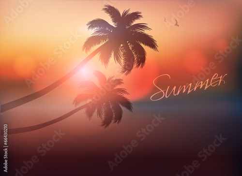 Fototapeta Naklejka Na Ścianę i Meble -  Palm Tree Sunset-Vector Illustration