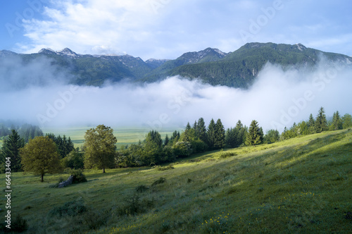 Alpine meadow in the morning fog