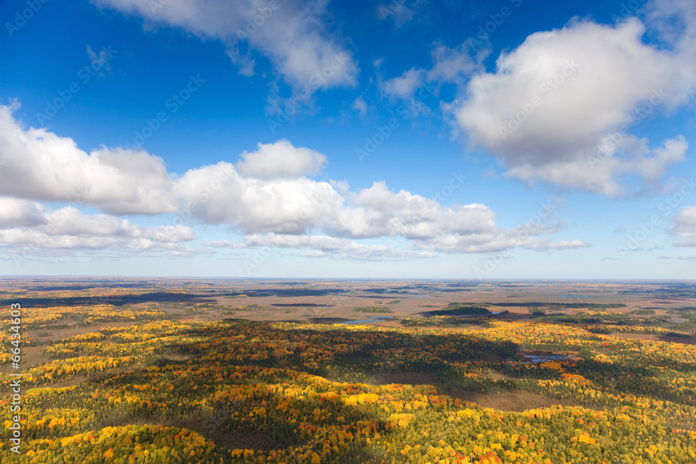 Top view of the forest in autumn