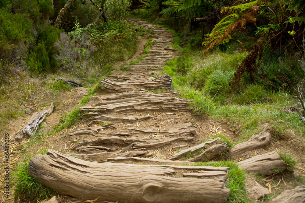 Abstrakte Wanderwege Abstrakte Wanderwege