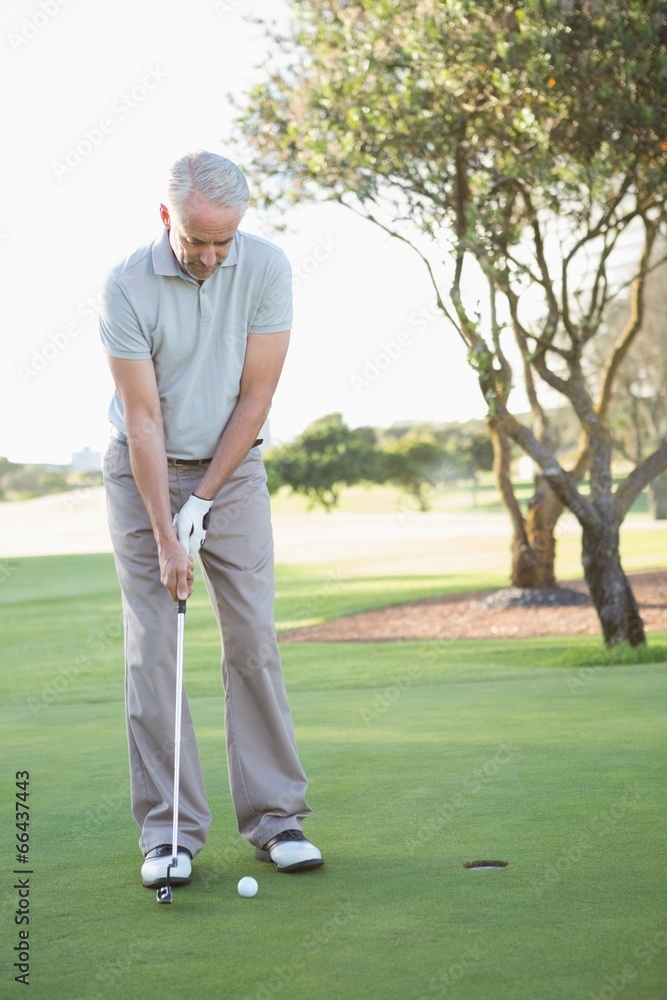 Golfer putting ball on the green