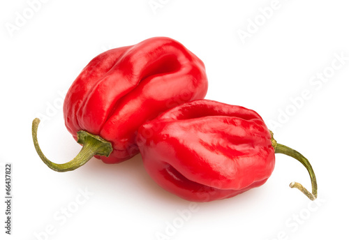 Tableau sur toile chili peppers