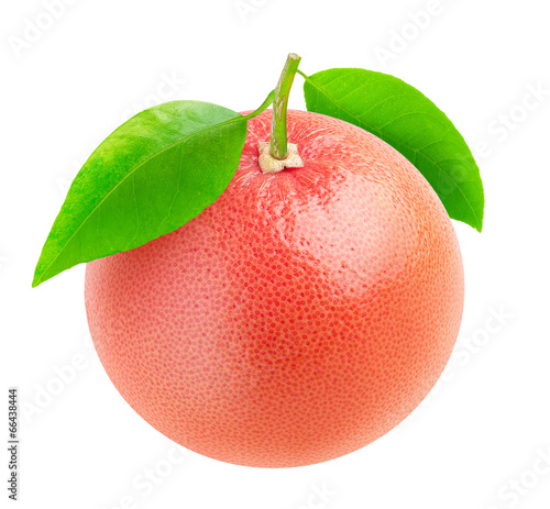 Isolated grapefruit. Pink grapefruit with leaves isolated on white background