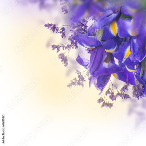 Fototapeta Naklejka Na Ścianę i Meble -  Blue irises with yellow daisies, floral background.