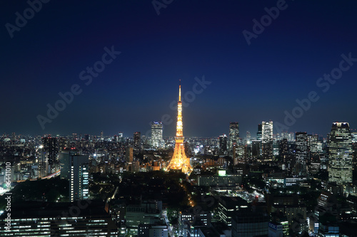 Tokyo cityscape at night  Japan
