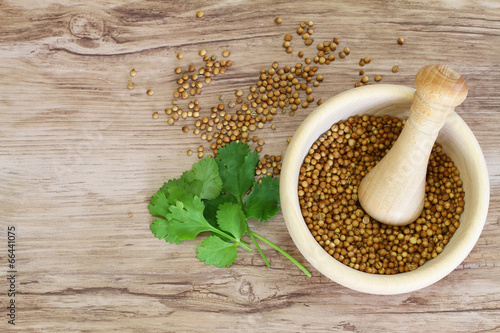 Coriander seeds in mortar and fresh coriander leaves