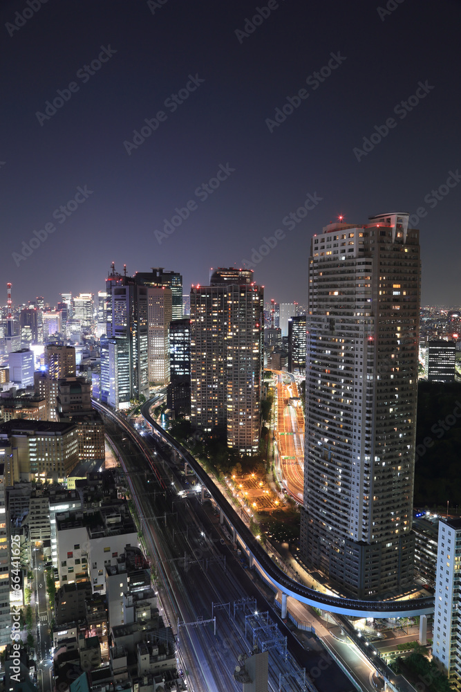 Tokyo cityscape at night