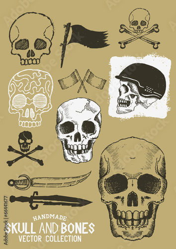 Vector Pirate Skull and Bones Set