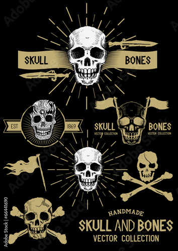 Vector Pirate Skull and Bones Set