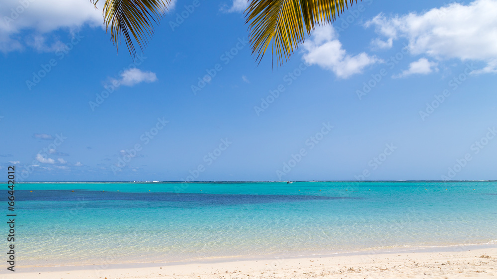 Naklejka premium Ocean View