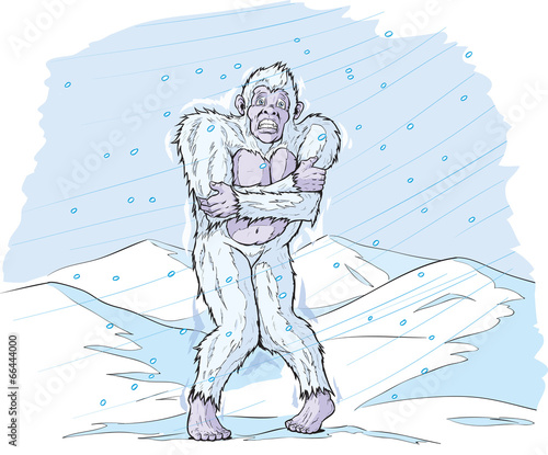 Cold Sasquatch