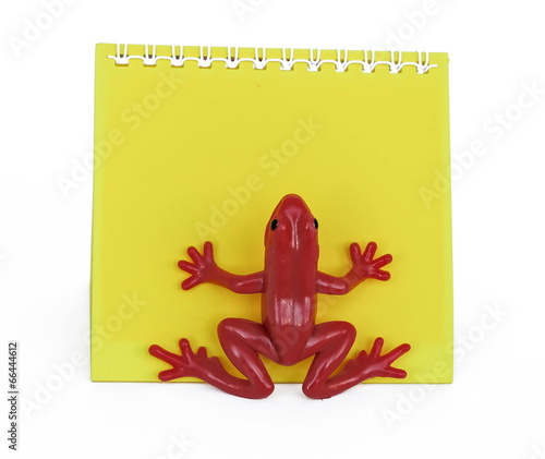 frog on paper photo