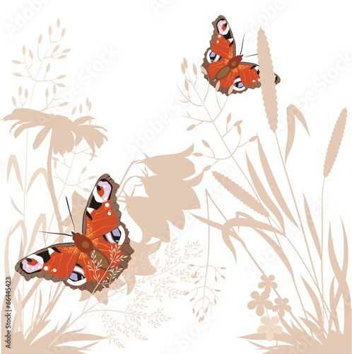 Bright butterflies of wildflowers grass