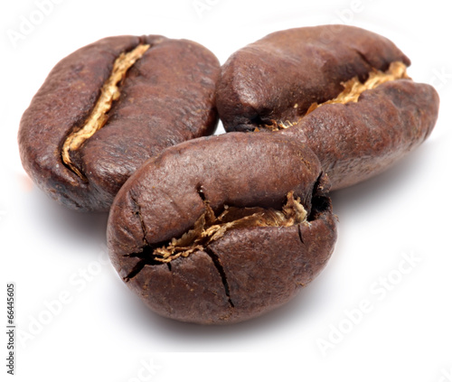 Coffee beans are isolated on white background.