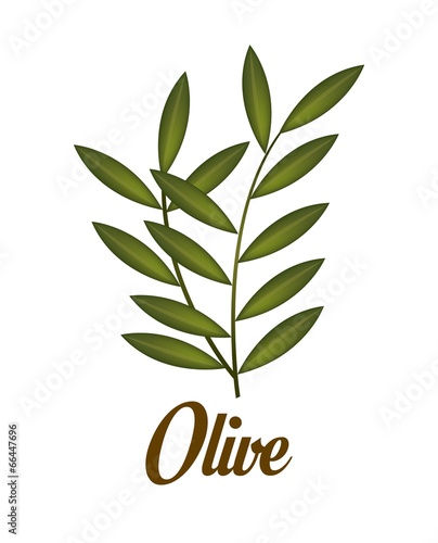 Olives design