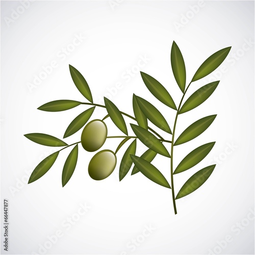 Olives design