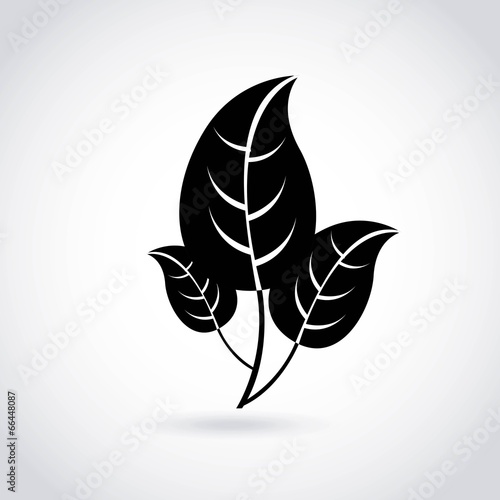 Ecology design