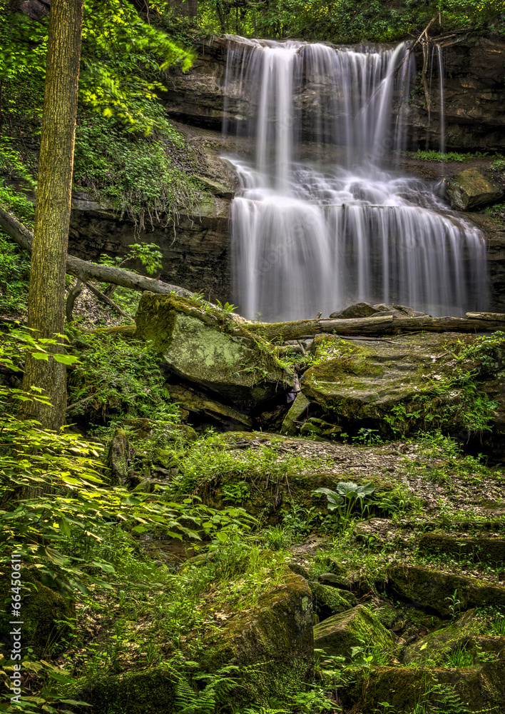 Fototapeta premium Quakertown Falls